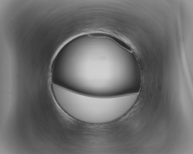 X0000112491524200908170941