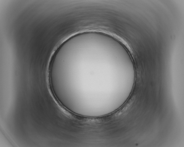 X0000112491525200908170941