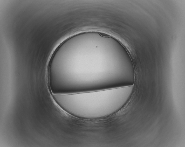 X0000112491527200908170941