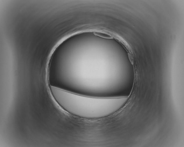 X0000112491528200908170941