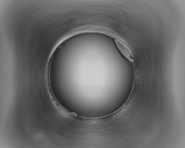 X0000112491530200908170941