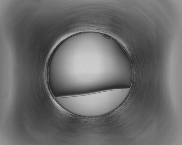 X0000112491531200908170941