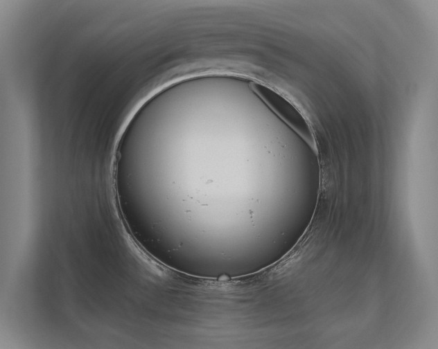 X0000112491532200908170941