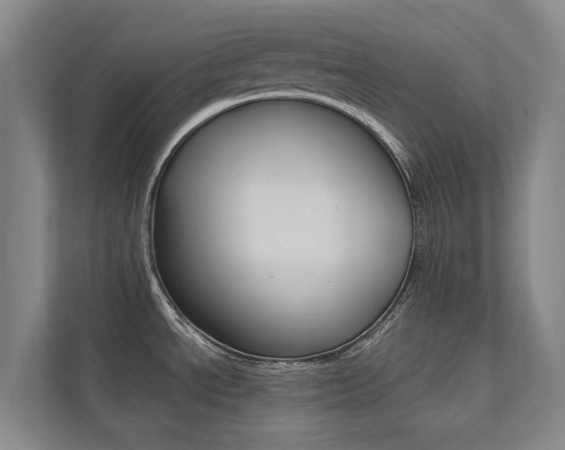 X0000112491534200908170941