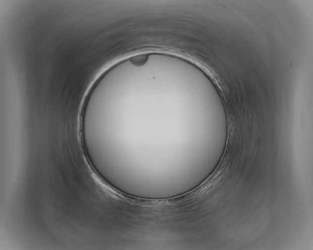 X0000112491535200908170941