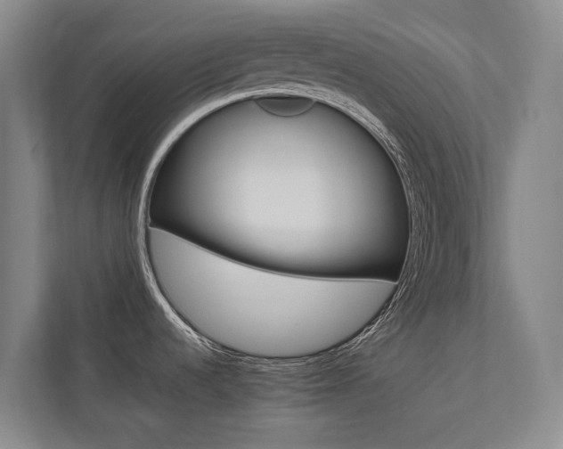 X0000112491536200908170941