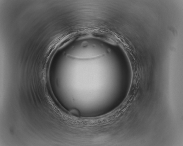 X0000112490002200908171257