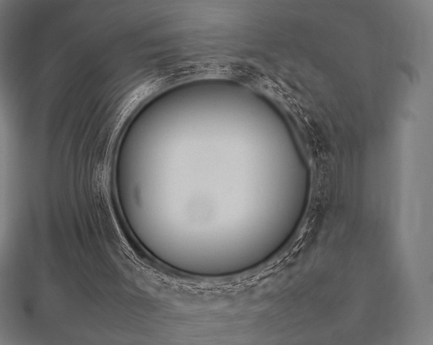 X0000112490003200908171257