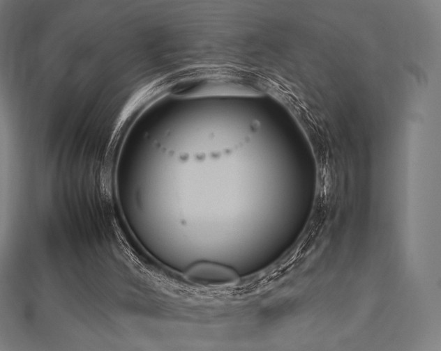 X0000112490004200908171257