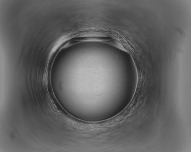 X0000112490006200908171257
