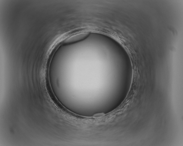 X0000112490007200908171257