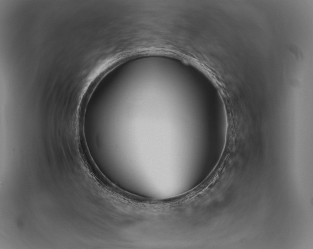 X0000112490008200908171257