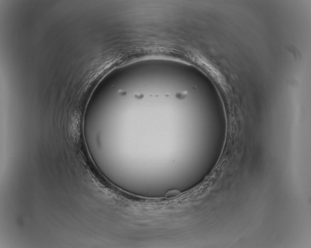 X0000112490009200908171257