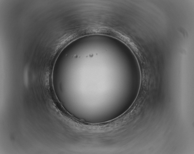 X0000112490010200908171257