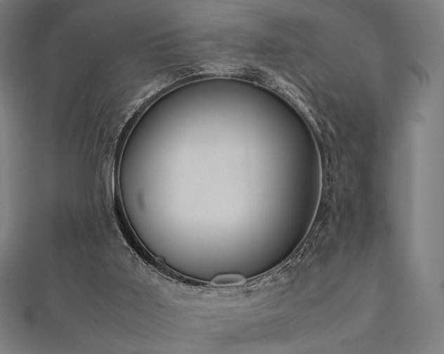 X0000112490011200908171257