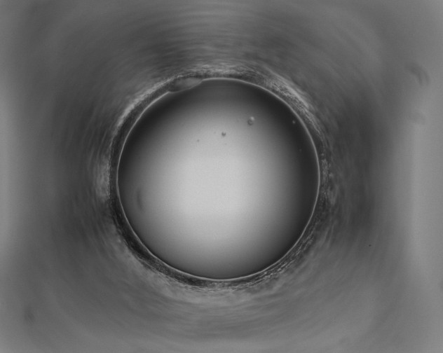 X0000112490012200908171257
