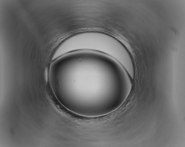 X0000112490013200908171257
