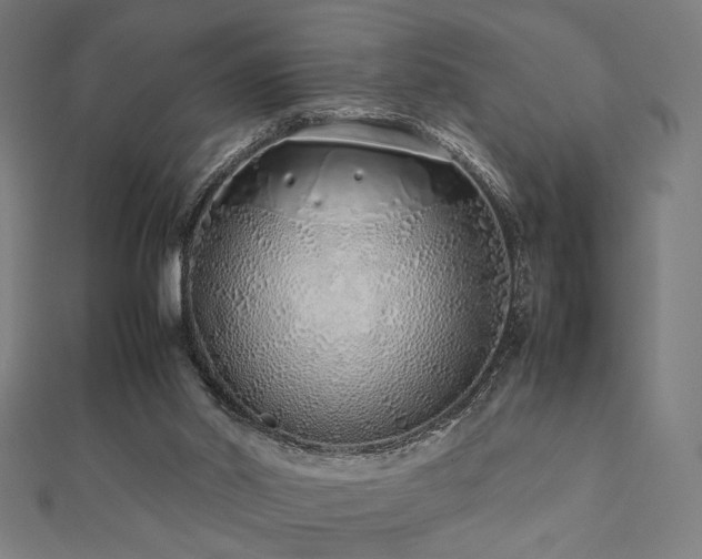 X0000112490014200908171257