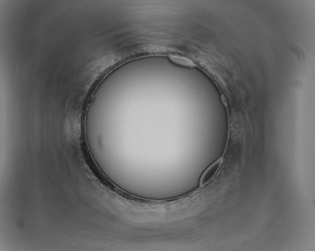 X0000112490015200908171257