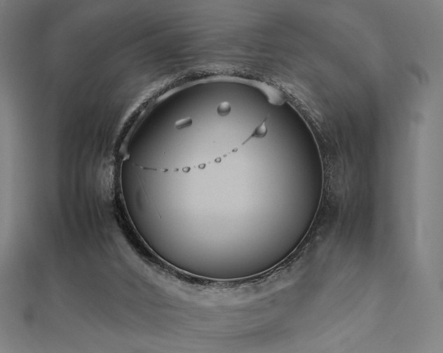 X0000112490016200908171257