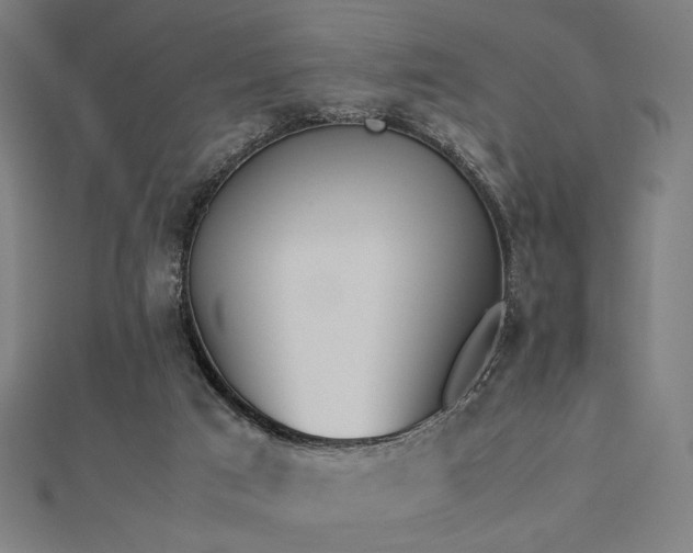 X0000112490017200908171257