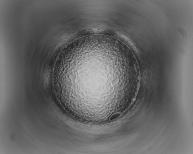 X0000112490018200908171257