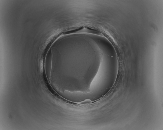 X0000112490019200908171257