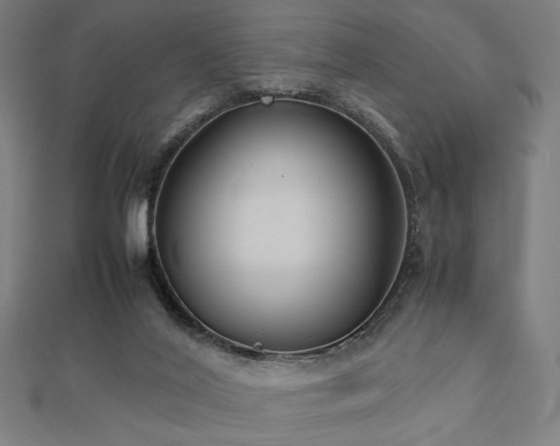 X0000112490020200908171257