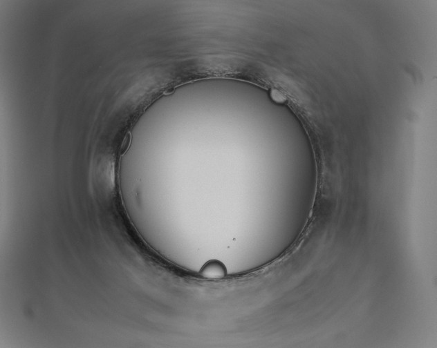 X0000112490021200908171257