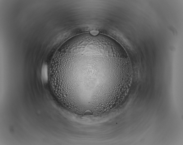 X0000112490022200908171257