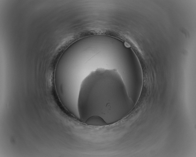 X0000112490023200908171257