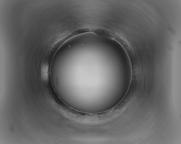 X0000112490024200908171257