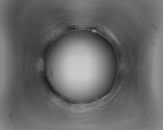 X0000112490025200908171257