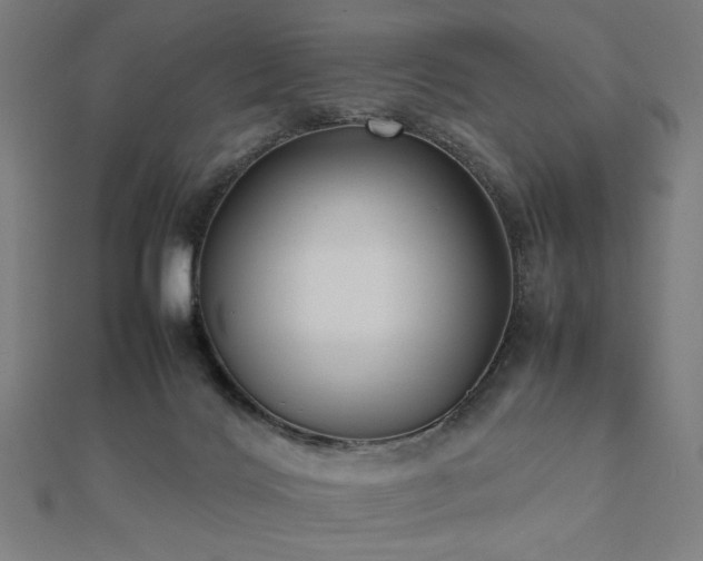 X0000112490028200908171257
