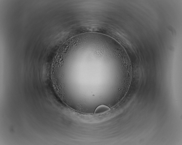X0000112490030200908171257