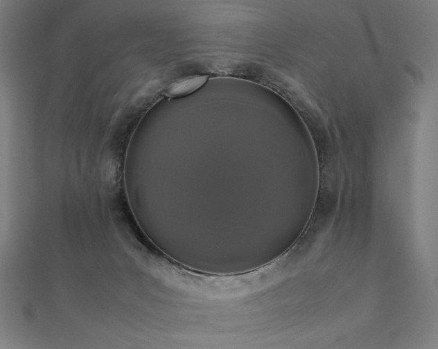 X0000112490031200908171257