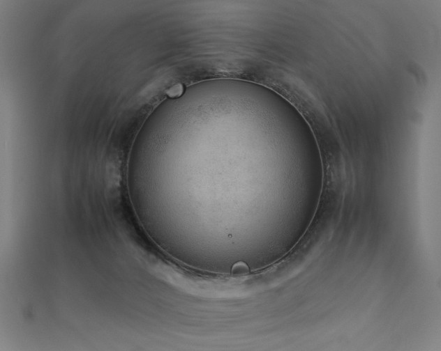 X0000112490032200908171257