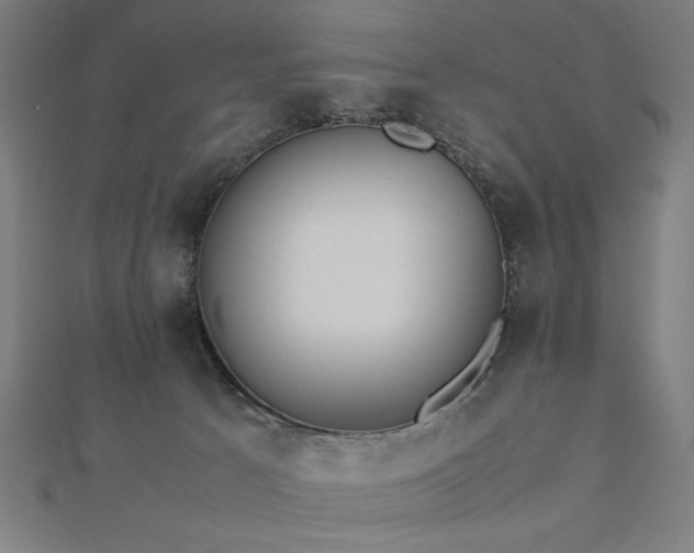 X0000112490033200908171257