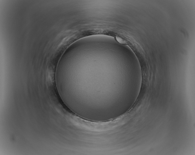 X0000112490035200908171257