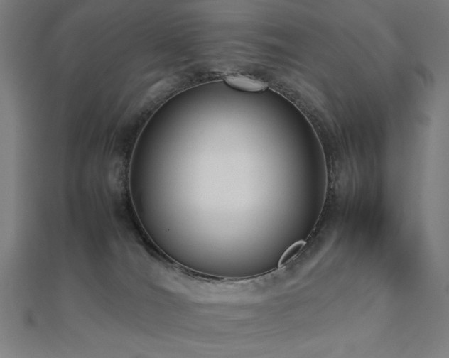 X0000112490036200908171257
