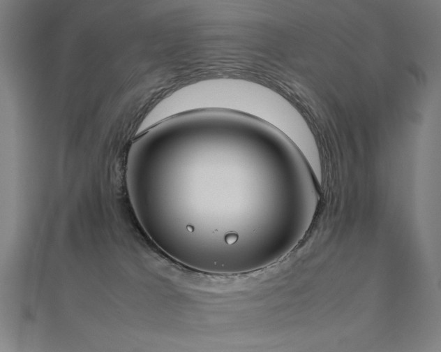 X0000112490037200908171257