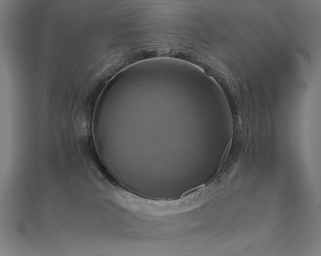 X0000112490039200908171257