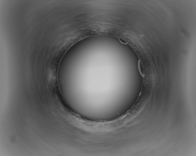 X0000112490040200908171257