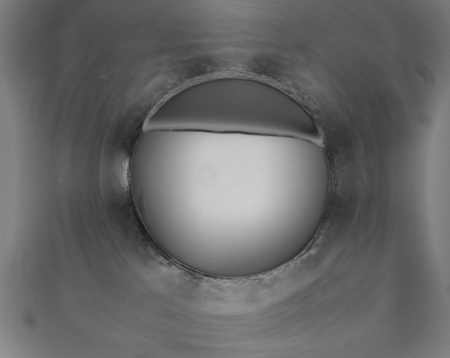 X0000112490041200908171257