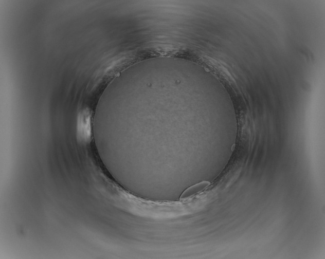 X0000112490042200908171257