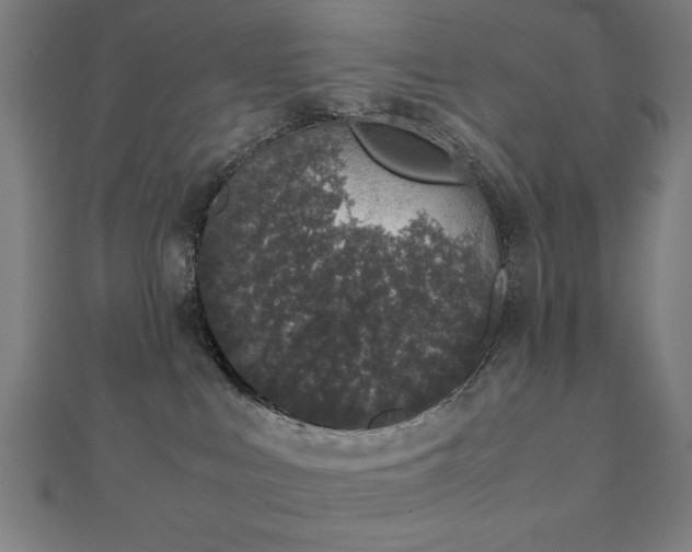 X0000112490043200908171257