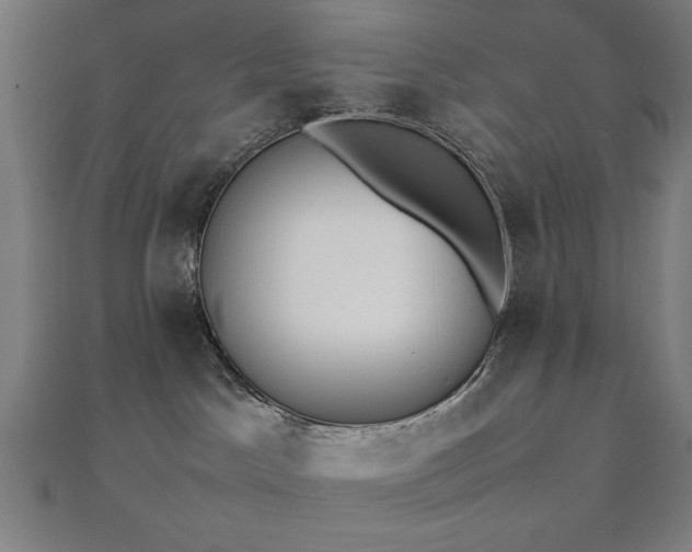 X0000112490045200908171257