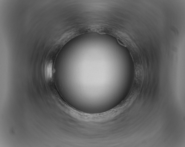 X0000112490046200908171257
