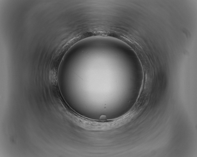 X0000112490048200908171257