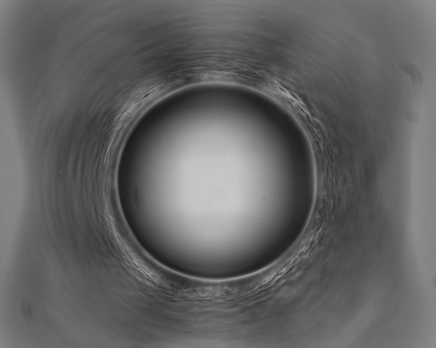 X0000112490049200908171256